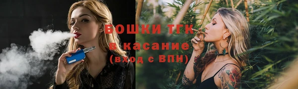 тгк Нефтекумск