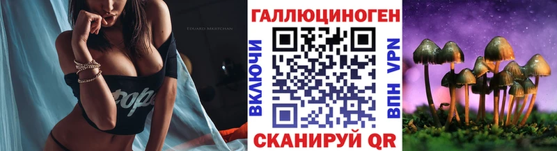 Псилоцибиновые грибы GOLDEN TEACHER  Советск 